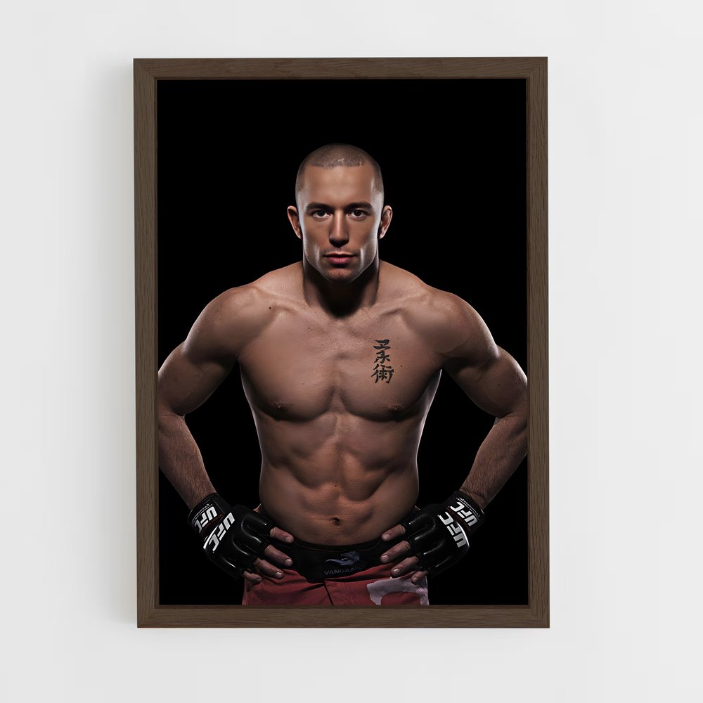 Poster Georges champion – affiche MMA (vue 5)